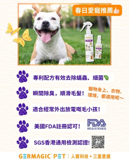 12 Hours Disinfectant Deodorizer 200ml - Image 5