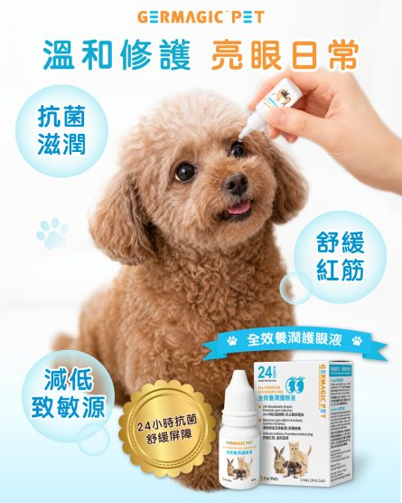 全效養潤護眼液：圖片 2